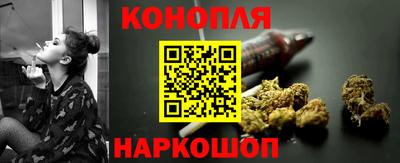 мдпв Гай