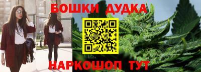 мдпв Гай