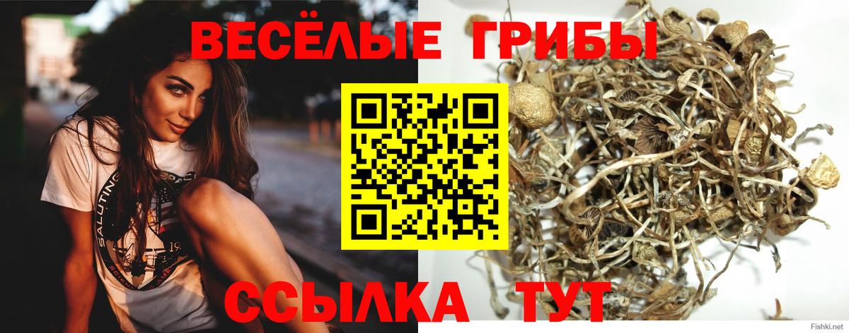 Галлюциногенные грибы мухоморы Набережные Челны