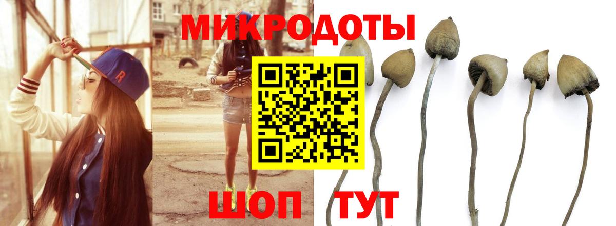 Псилоцибиновые грибы GOLDEN TEACHER  Псилоцибиновые грибы прущие грибы  Вход с VPN  Набережные Челны 